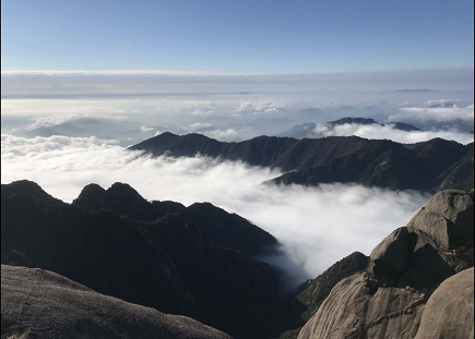 我国机器人发展情况如何?一文让你轻松了解!