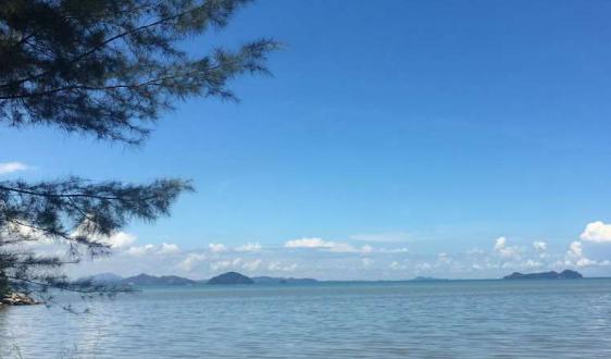 赋能农业生态 远牧深圳在植保无人机领域探索未来