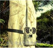 夜鹰红外感应相机SG-999M/1200万像素彩信版