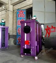大連環(huán)保鍋爐