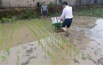 手拔秧苗、旱育秧手搖插秧機(jī)